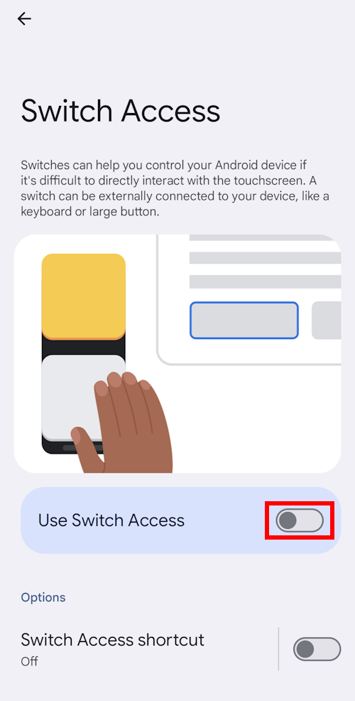 Tap the toggle switch for Switch Access to turn it on